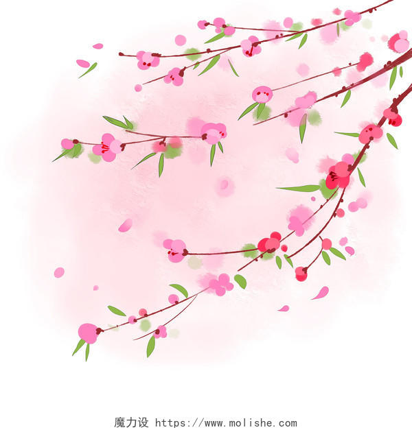 立春水彩风手绘春天春分的花枝插画素材